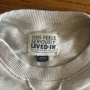 American Eagle Outfitters Light Gray Sweatshirt